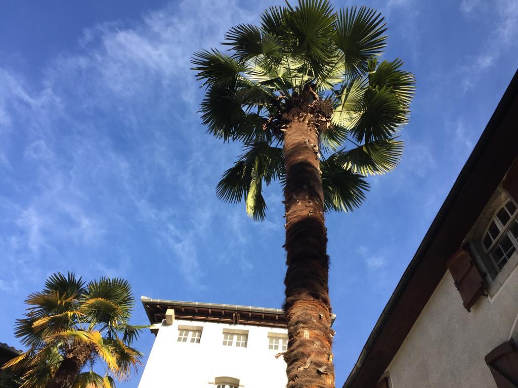 Hotel Hostellerie Des Cedres